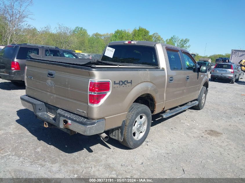 1FTFW1EF8BFA46669 | 2011 FORD F-150