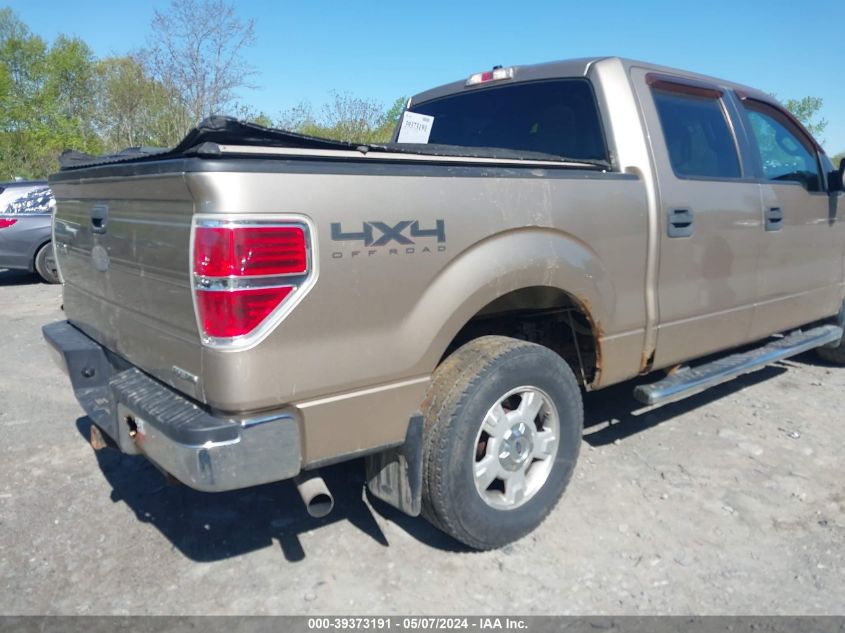 1FTFW1EF8BFA46669 | 2011 FORD F-150