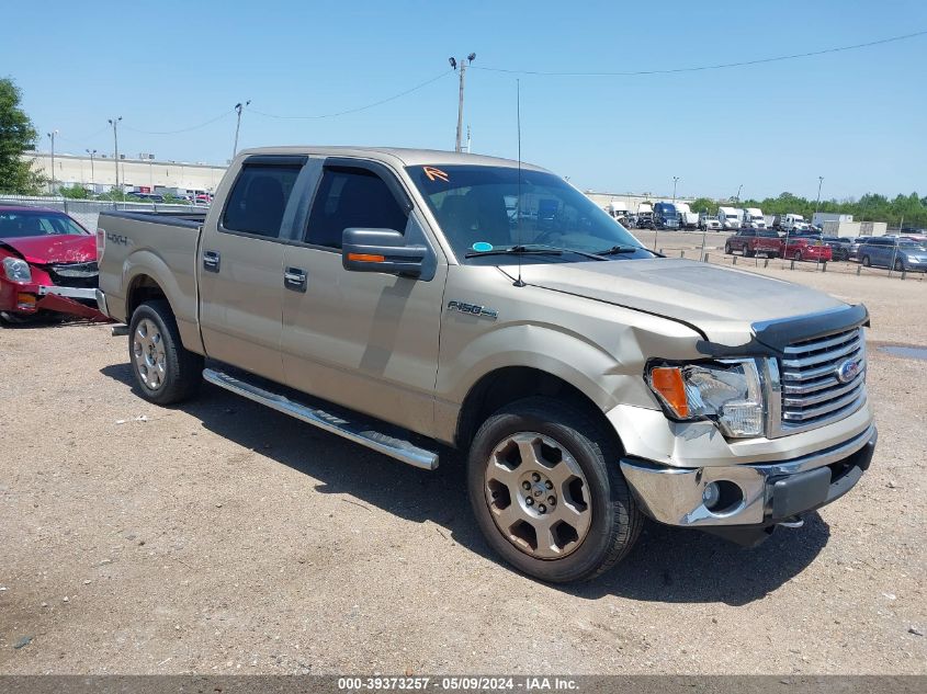 2010 Ford F-150 Fx4/Harley-Davidson/King Ranch/Lariat/Platinum/Xl/Xlt VIN: 1FTFW1EV5AFC20915 Lot: 39373257