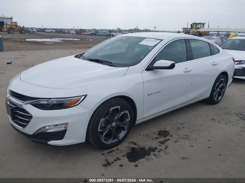 2023 Chevrolet Malibu Fwd 1Lt VIN: 1G1ZD5ST3PF204324 Lot: 39373291