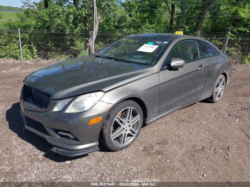 2010 Mercedes-Benz E 550 VIN: WDDKJ7CB0AF005487 Lot: 39373481