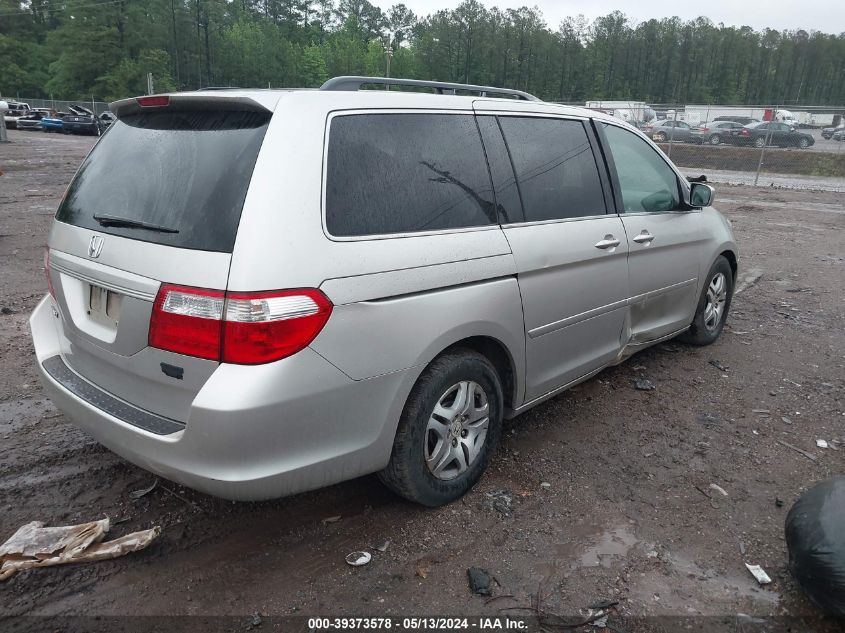 2007 Honda Odyssey Exl VIN: 5FNRL38767B449678 Lot: 39373578