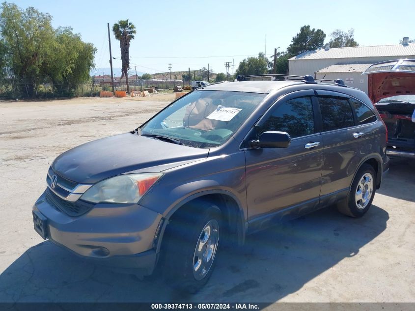 2010 Honda Cr-V Lx VIN: 5J6RE3H31AL029803 Lot: 39374713