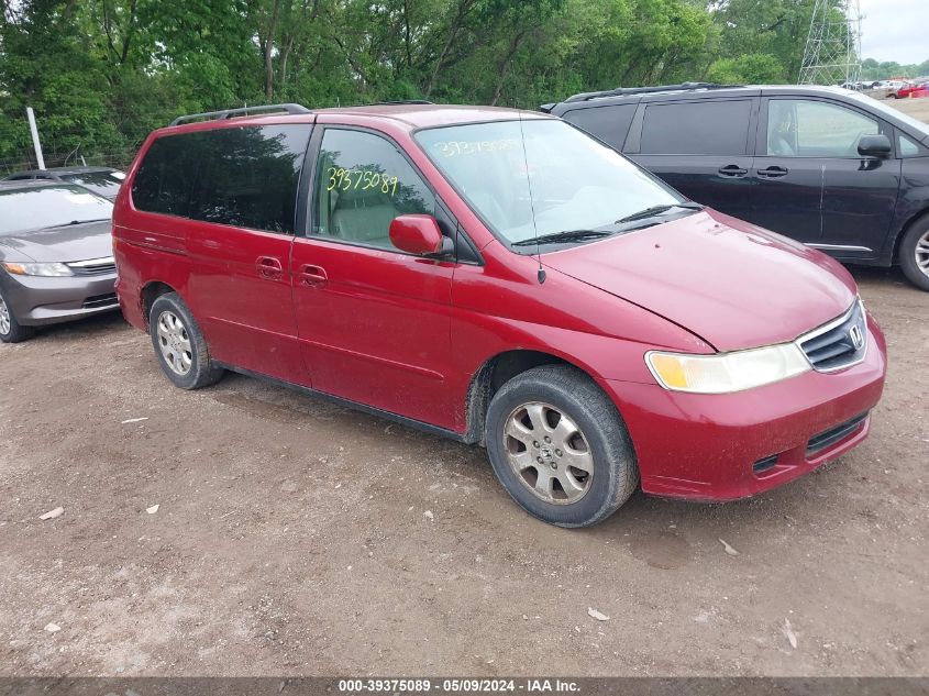 2004 Honda Odyssey Ex-L VIN: 5FNRL18924B004355 Lot: 39375089