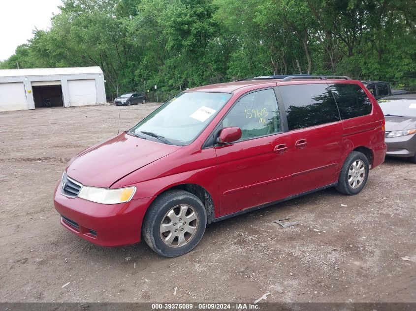 2004 Honda Odyssey Ex-L VIN: 5FNRL18924B004355 Lot: 39375089