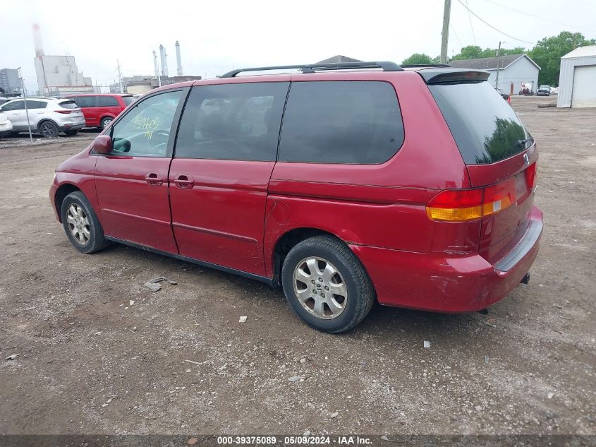 2004 Honda Odyssey Ex-L VIN: 5FNRL18924B004355 Lot: 39375089