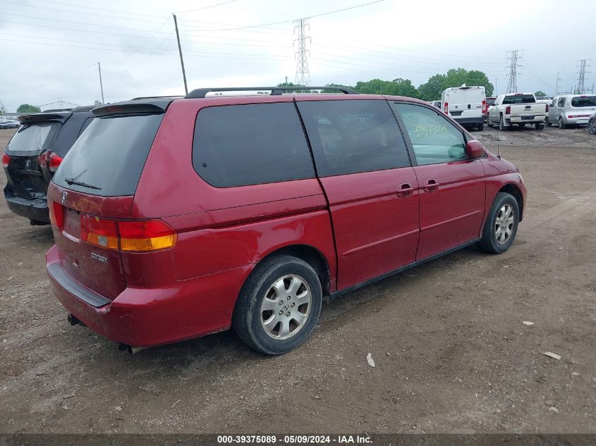 2004 Honda Odyssey Ex-L VIN: 5FNRL18924B004355 Lot: 39375089