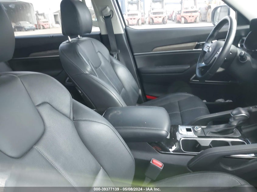 2020 Kia Telluride Ex VIN: 5XYP34HCXLG044856 Lot: 39377139