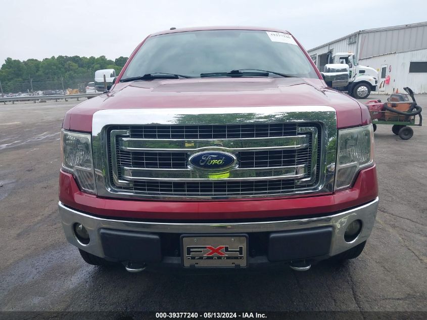 2013 Ford F-150 Xlt VIN: 1FTFW1EF9DFC61237 Lot: 39377240