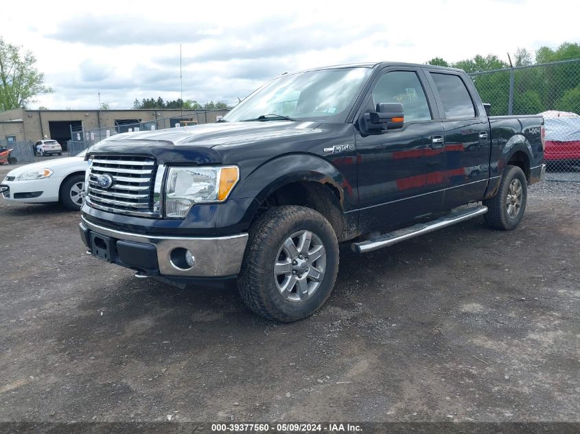 2010 Ford F-150 Fx4/Harley-Davidson/King Ranch/Lariat/Platinum/Xl/Xlt VIN: 1FTFW1EV3AFD70201 Lot: 39377560