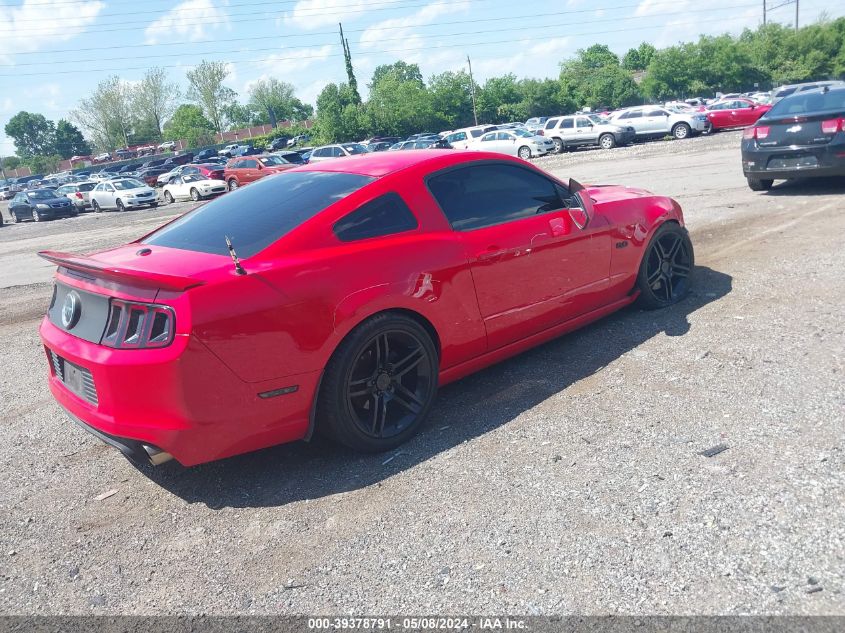 2013 Ford Mustang Gt Premium VIN: 1ZVBP8CF4D5261527 Lot: 39378791