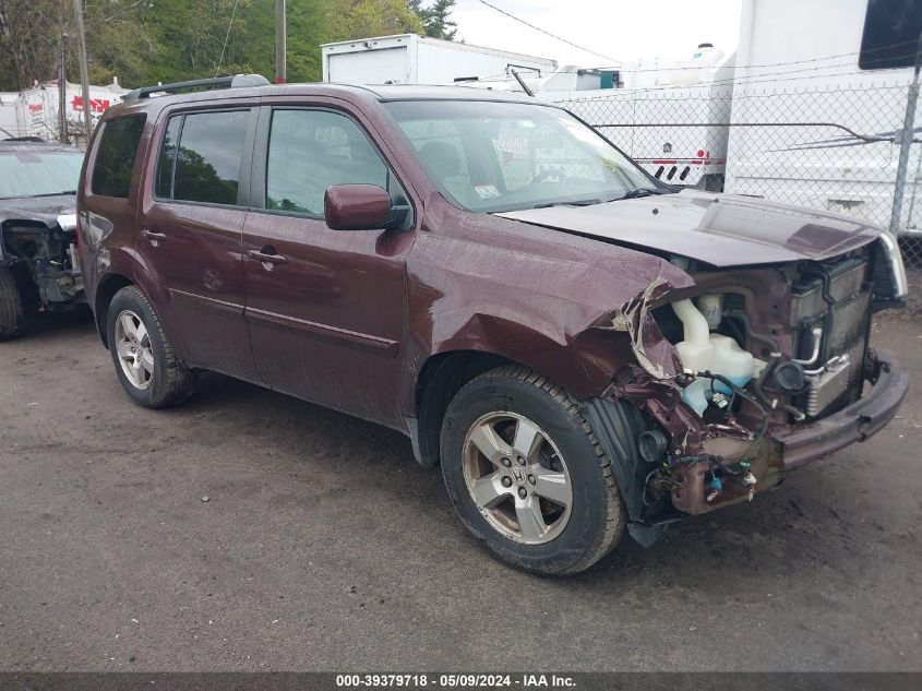 2009 Honda Pilot Ex-L VIN: 5FNYF48629B012733 Lot: 39379718