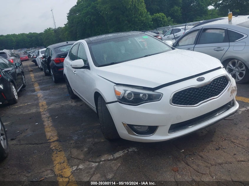 2014 Kia Cadenza Premium VIN: KNALN4D79E5167316 Lot: 39380114