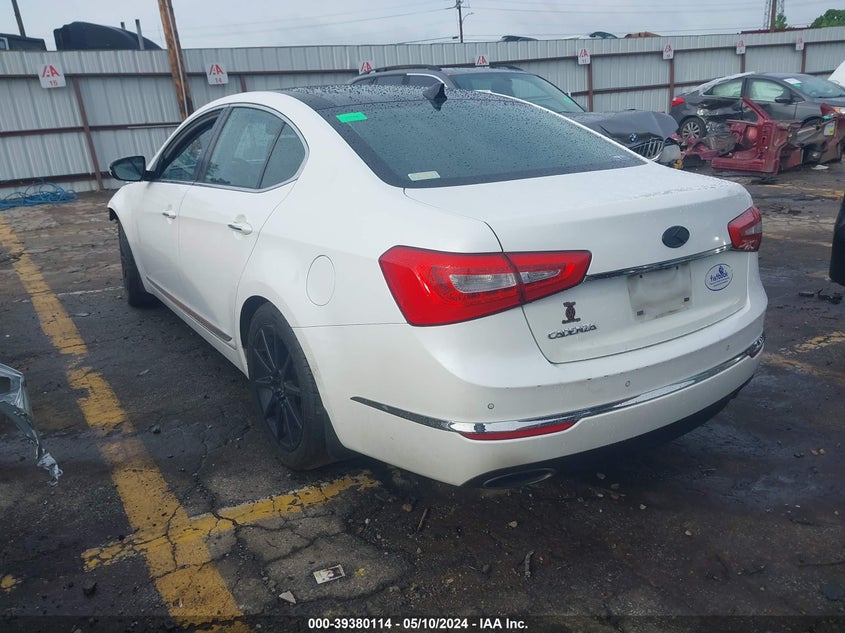 2014 Kia Cadenza Premium VIN: KNALN4D79E5167316 Lot: 39380114