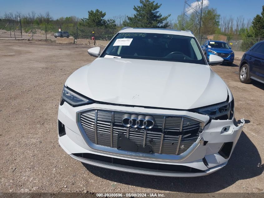 2019 Audi E-Tron Premium Plus VIN: WA1VAAGE2KB010167 Lot: 39380596