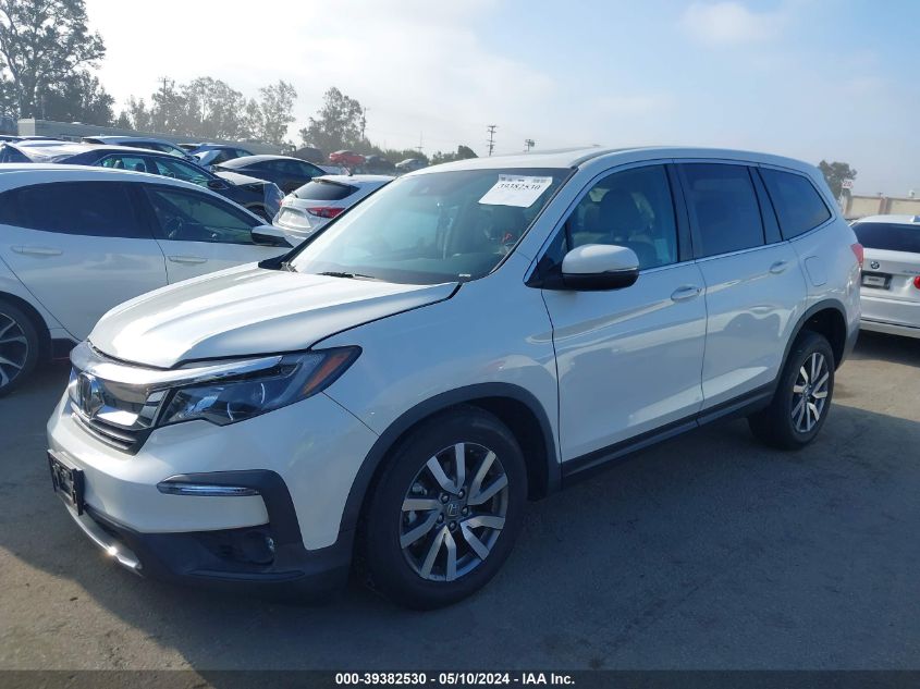 2019 Honda Pilot Ex-L VIN: 5FNYF5H55KB007254 Lot: 39382530