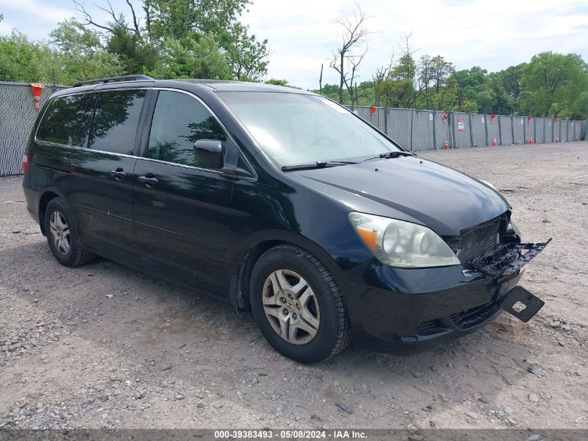 2007 Honda Odyssey Ex-L VIN: 5FNRL38737B066488 Lot: 39383493