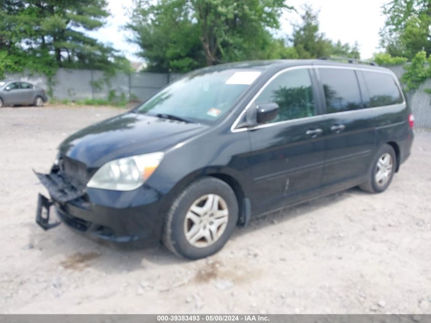 2007 Honda Odyssey Ex-L VIN: 5FNRL38737B066488 Lot: 39383493