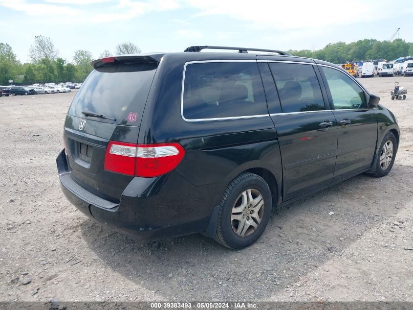 2007 Honda Odyssey Ex-L VIN: 5FNRL38737B066488 Lot: 39383493