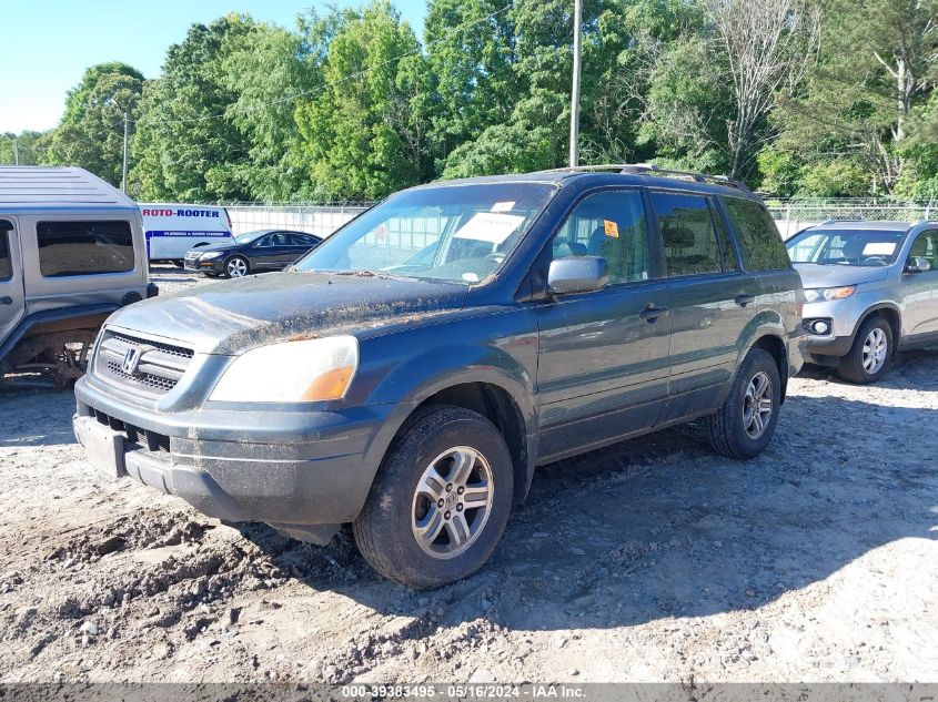 2005 Honda Pilot Ex-L VIN: 5FNYF18685B013071 Lot: 39383495