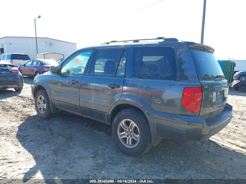 2005 Honda Pilot Ex-L VIN: 5FNYF18685B013071 Lot: 39383495