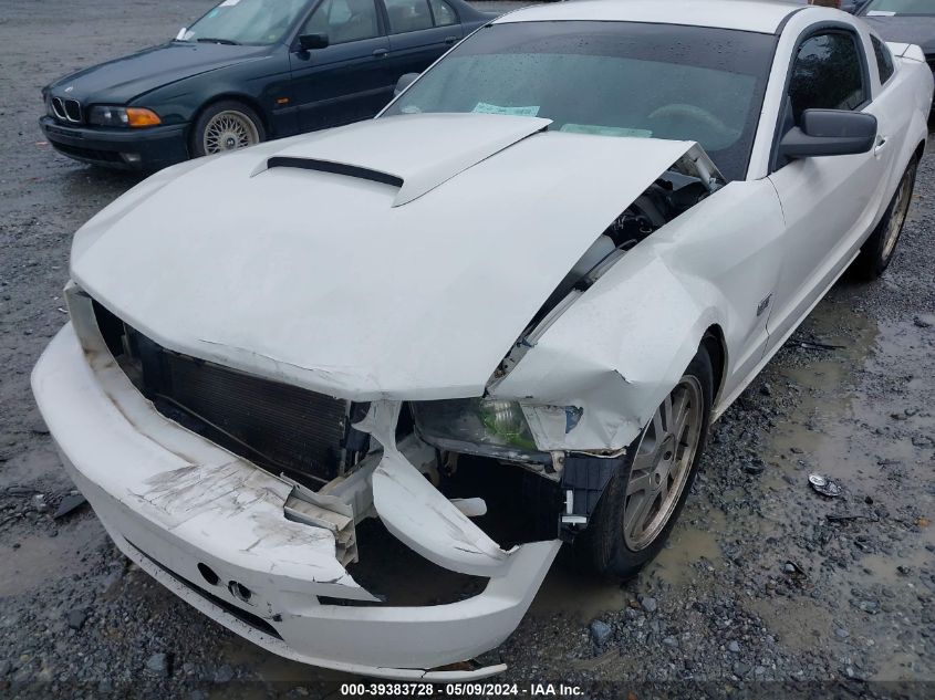 2006 Ford Mustang Gt VIN: 1ZVFT82H165151148 Lot: 39383728