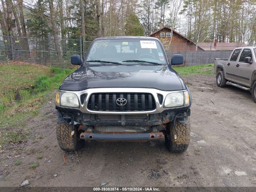 2003 Toyota Tacoma Base V6 VIN: 5TEWN72N03Z295716 Lot: 39383874