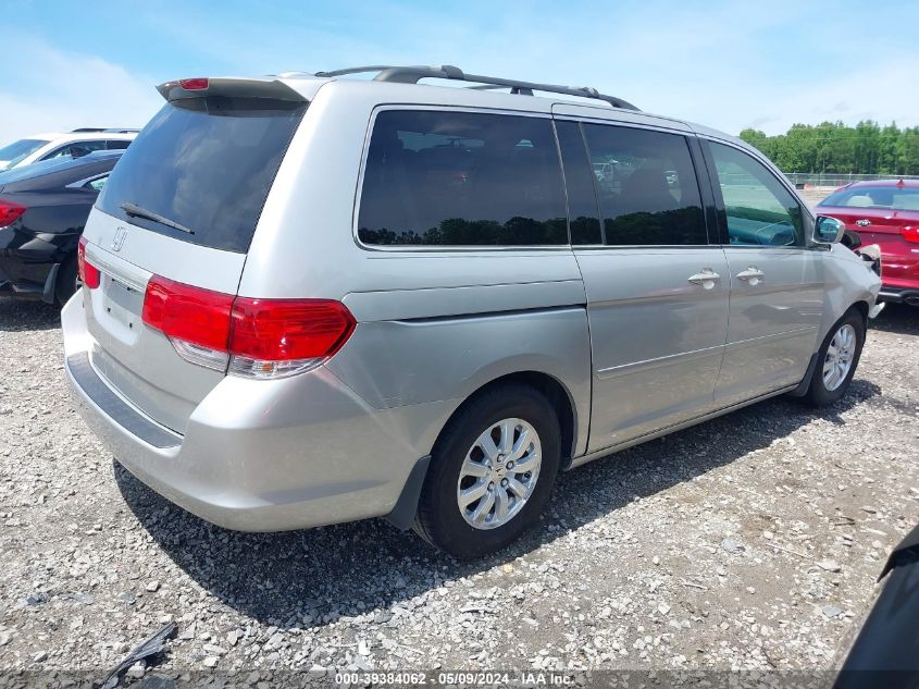 2009 Honda Odyssey Ex-L VIN: 5FNRL38629B047800 Lot: 39384062