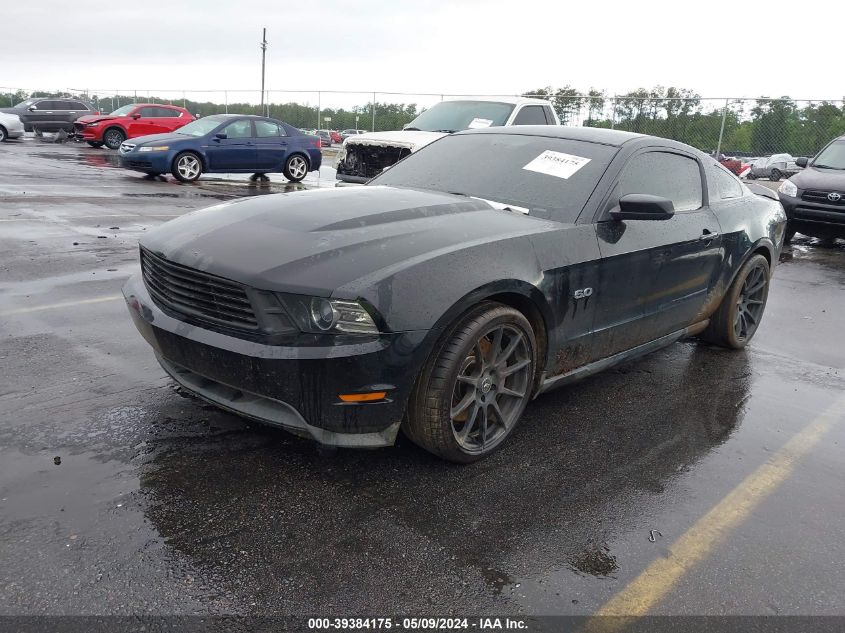 2011 Ford Mustang Gt VIN: 1ZVBP8CF9B5168340 Lot: 39384175