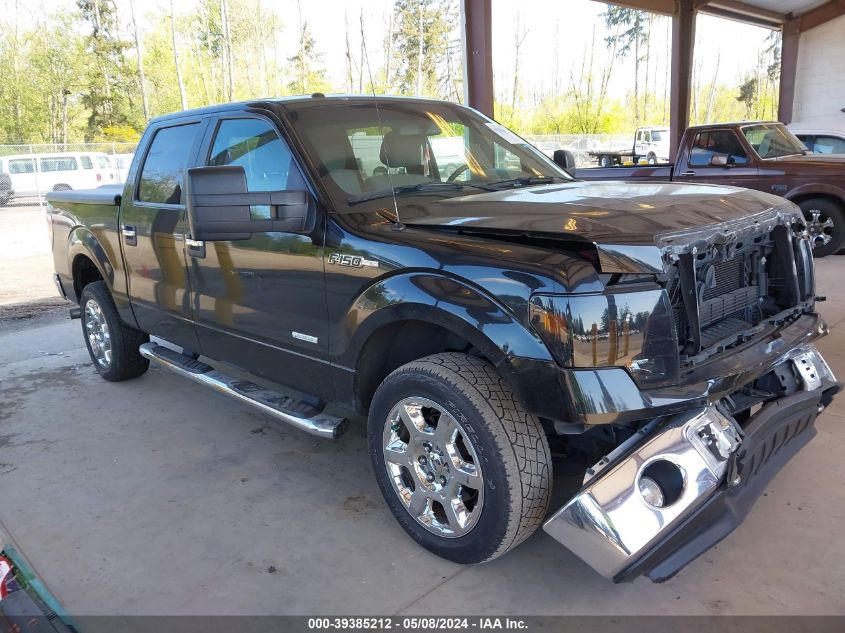 2014 FORD F-150 XLT - 1FTFW1ET1EKD87820