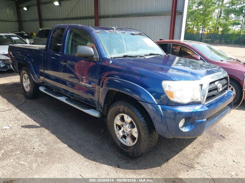 2006 Toyota Tacoma Base V6 VIN: 5TEUU42N66Z198257 Lot: 39385814