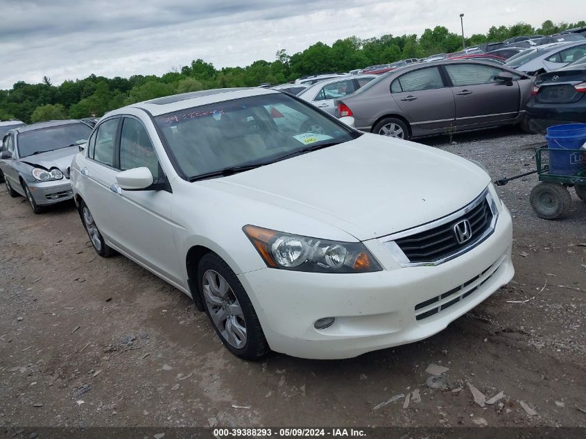 2008 Honda Accord 3.5 Ex-L VIN: 1HGCP36828A028543 Lot: 39388293