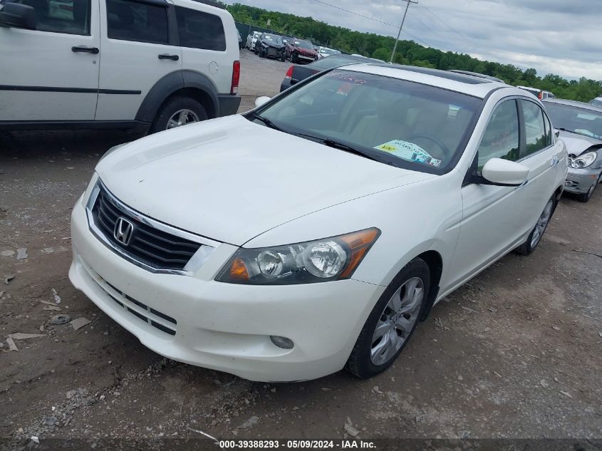 2008 Honda Accord 3.5 Ex-L VIN: 1HGCP36828A028543 Lot: 39388293