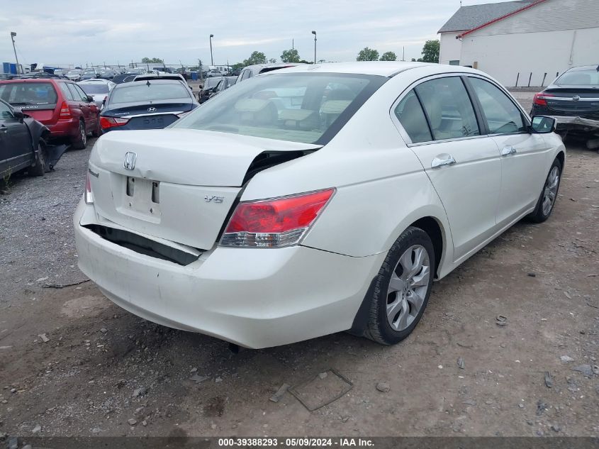 2008 Honda Accord 3.5 Ex-L VIN: 1HGCP36828A028543 Lot: 39388293