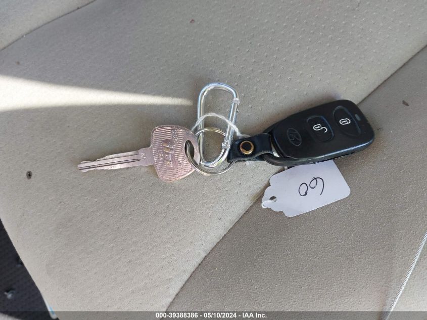 2009 Hyundai Santa Fe Se VIN: 5NMSH13E59H233464 Lot: 39388386