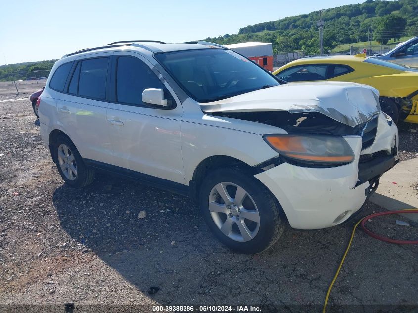 2009 Hyundai Santa Fe Se VIN: 5NMSH13E59H233464 Lot: 39388386