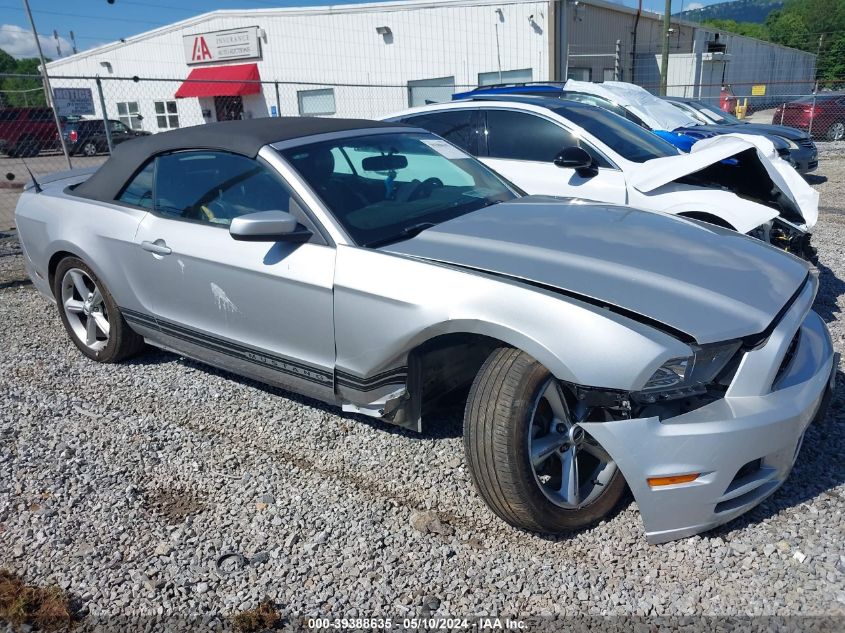 2013 FORD MUSTANG - 1ZVBP8EM9D5222086