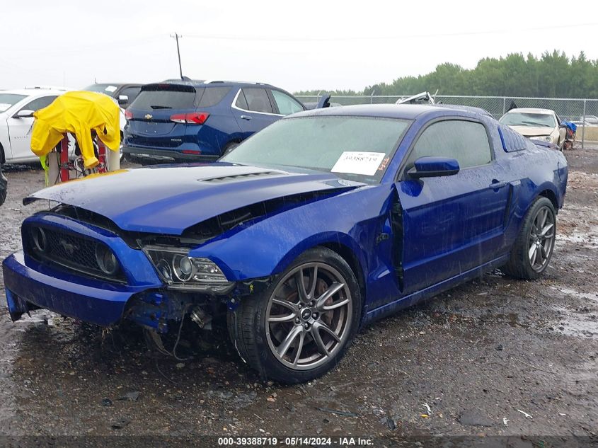 2013 Ford Mustang Gt Premium VIN: 1ZVBP8CF4D5240466 Lot: 39388719