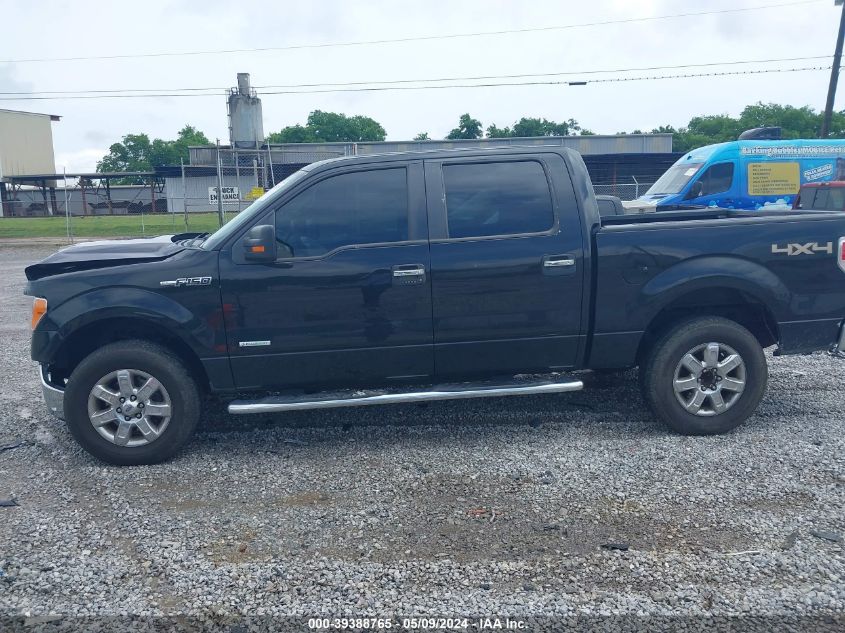 2013 Ford F-150 Xlt VIN: 1FTFW1ET0DKG44903 Lot: 39388765