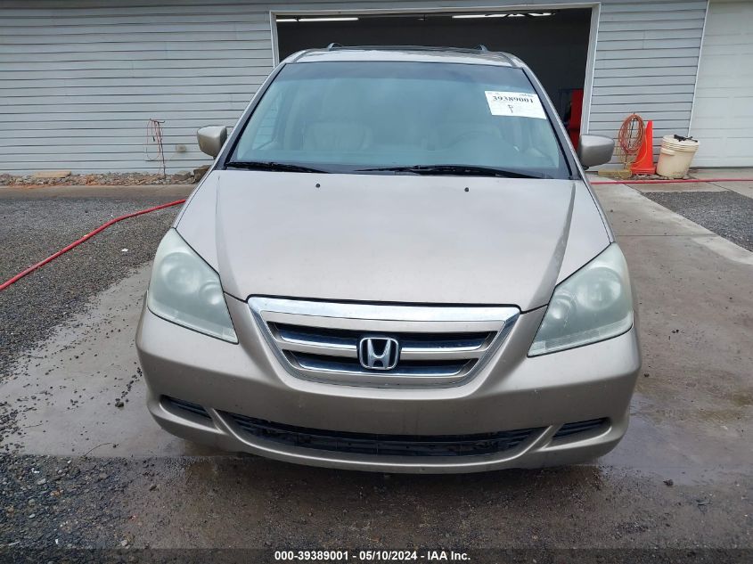 2007 Honda Odyssey Ex-L VIN: 5FNRL38617B126260 Lot: 39389001