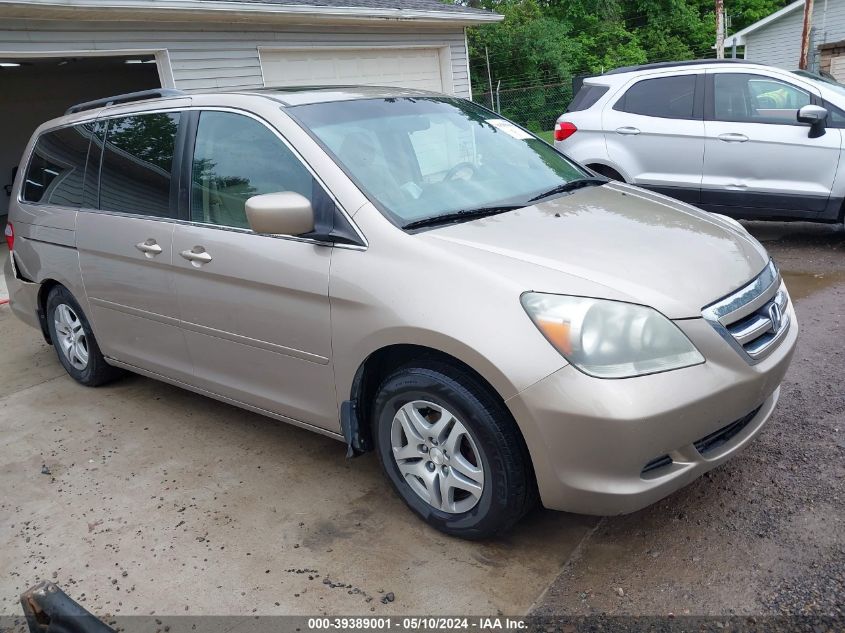 2007 Honda Odyssey Ex-L VIN: 5FNRL38617B126260 Lot: 39389001