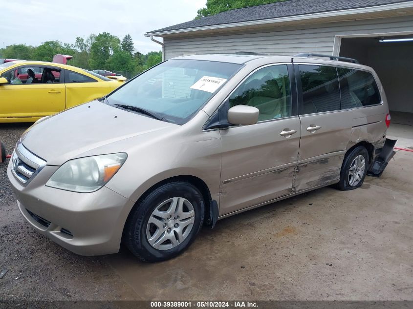 2007 Honda Odyssey Ex-L VIN: 5FNRL38617B126260 Lot: 39389001