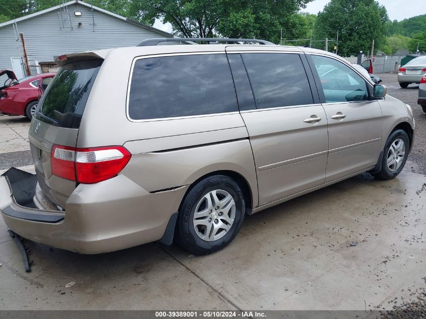 2007 Honda Odyssey Ex-L VIN: 5FNRL38617B126260 Lot: 39389001