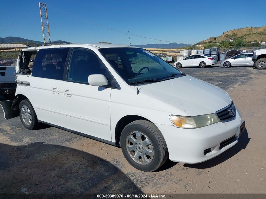 2004 Honda Odyssey Ex-L VIN: 5FNRL18064B050921 Lot: 39389970