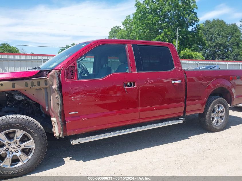 2015 FORD F-150 XLT - 1FTFW1EG1FKD32840