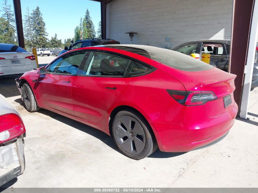 2023 Tesla Model 3 Rear-Wheel Drive VIN: 5YJ3E1EA7PF404074 Lot: 39390752