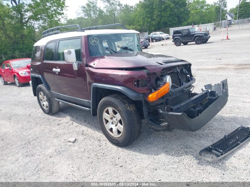 2007 Toyota Fj Cruiser VIN: JTEBU11F671119760 Lot: 39392801