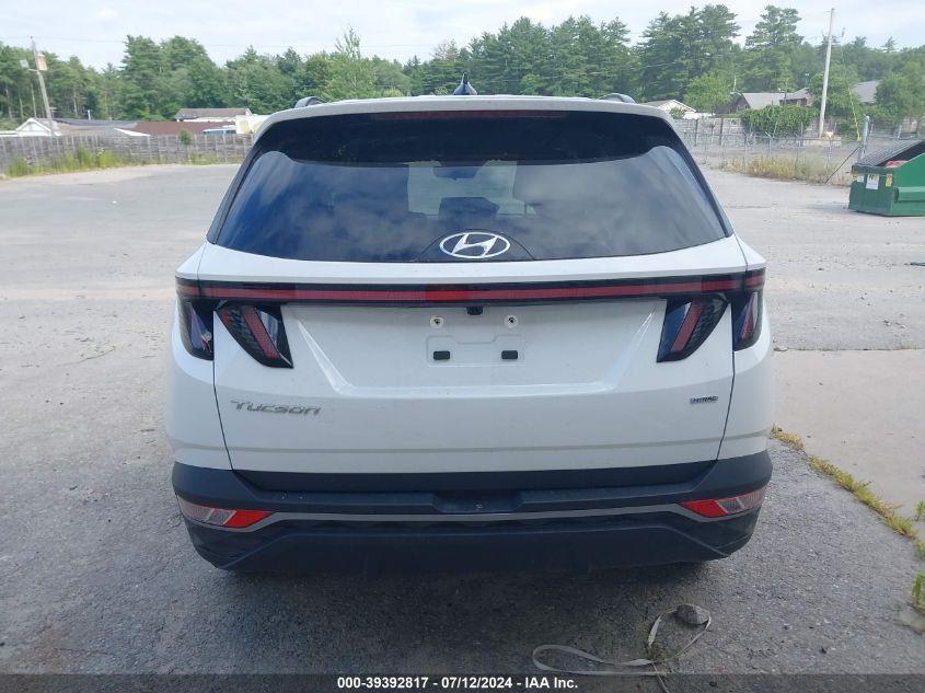 2023 Hyundai Tucson Sel VIN: 5NMJBCAE9PH194788 Lot: 39392817