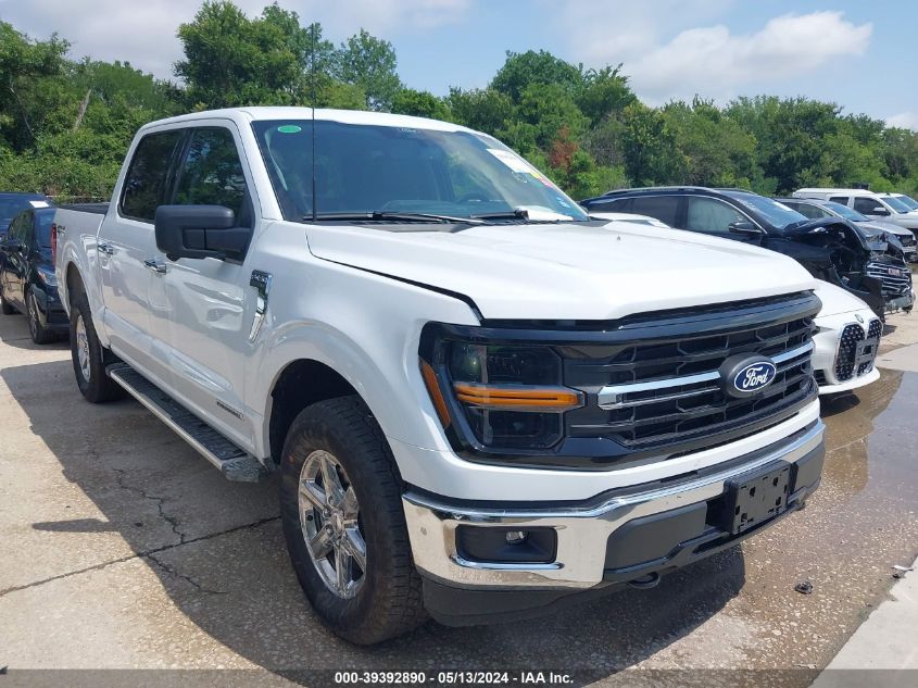 2024 FORD F-150 XLT - 1FTFW3LDXRFA45238