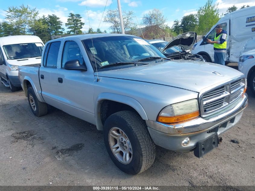 2003 Dodge Dakota Slt VIN: 1D7HG48N33S359296 Lot: 39393115